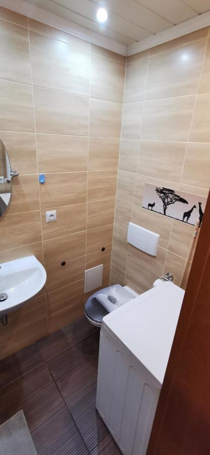 Apartament Pod Bukiem ドゥシュニキ・ズドルイ エクステリア 写真