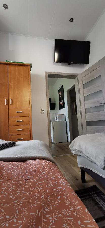 Apartament Pod Bukiem ドゥシュニキ・ズドルイ エクステリア 写真