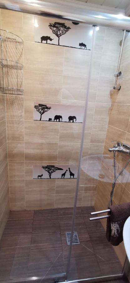 Apartament Pod Bukiem ドゥシュニキ・ズドルイ エクステリア 写真