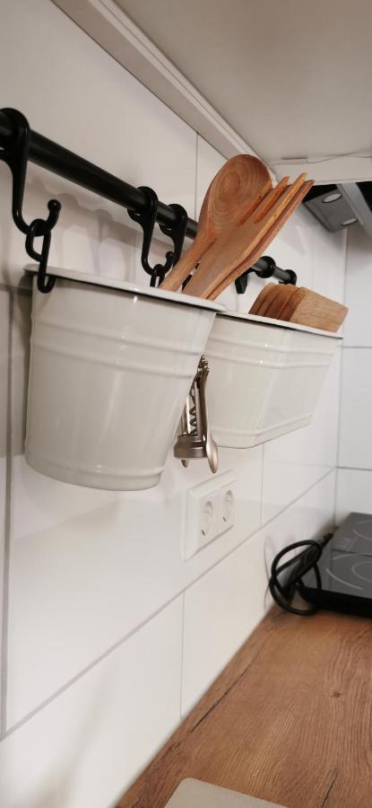 Apartament Pod Bukiem ドゥシュニキ・ズドルイ エクステリア 写真